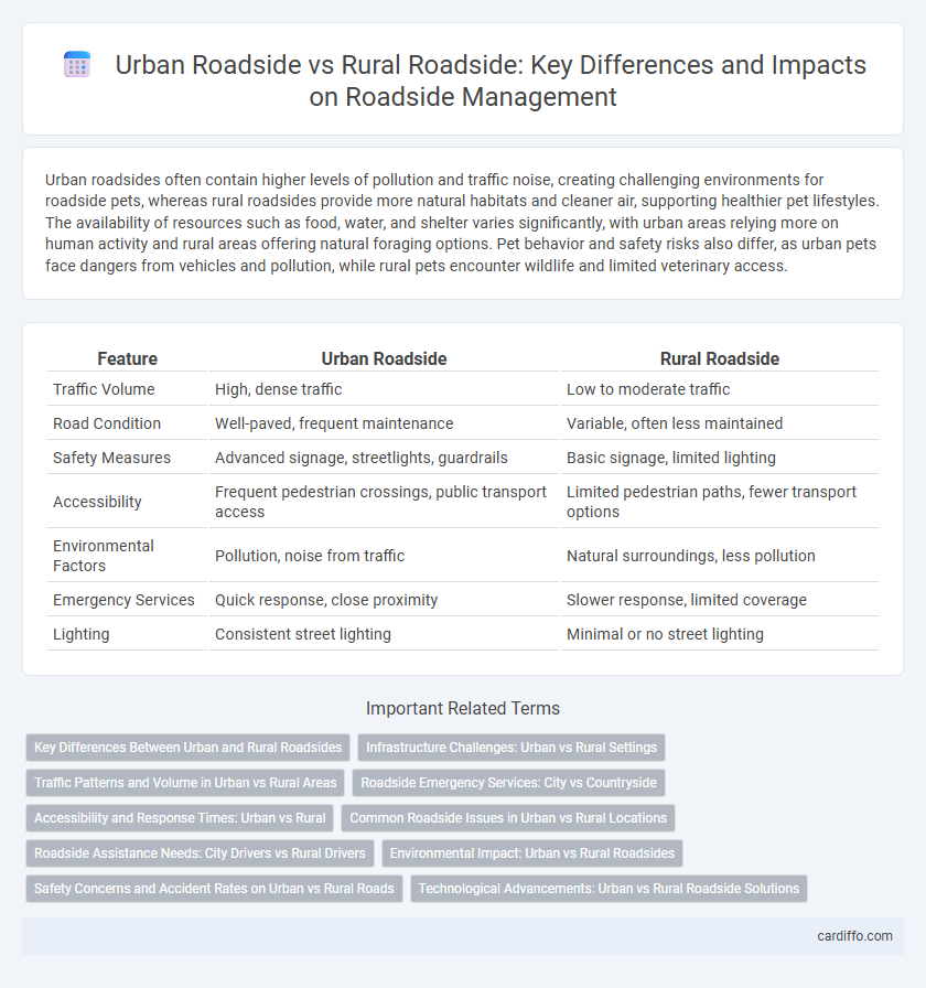 Urban Roadside vs Rural Roadside: Key Differences and Impacts on Roadside Management