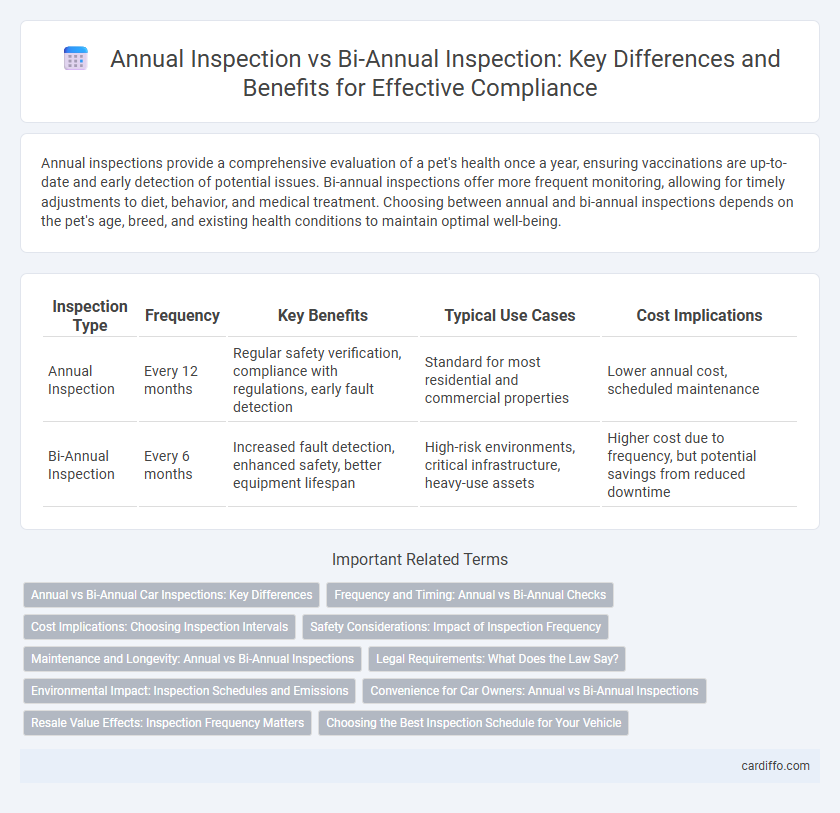 Annual Inspection vs Bi-Annual Inspection: Key Differences and Benefits for Effective Compliance