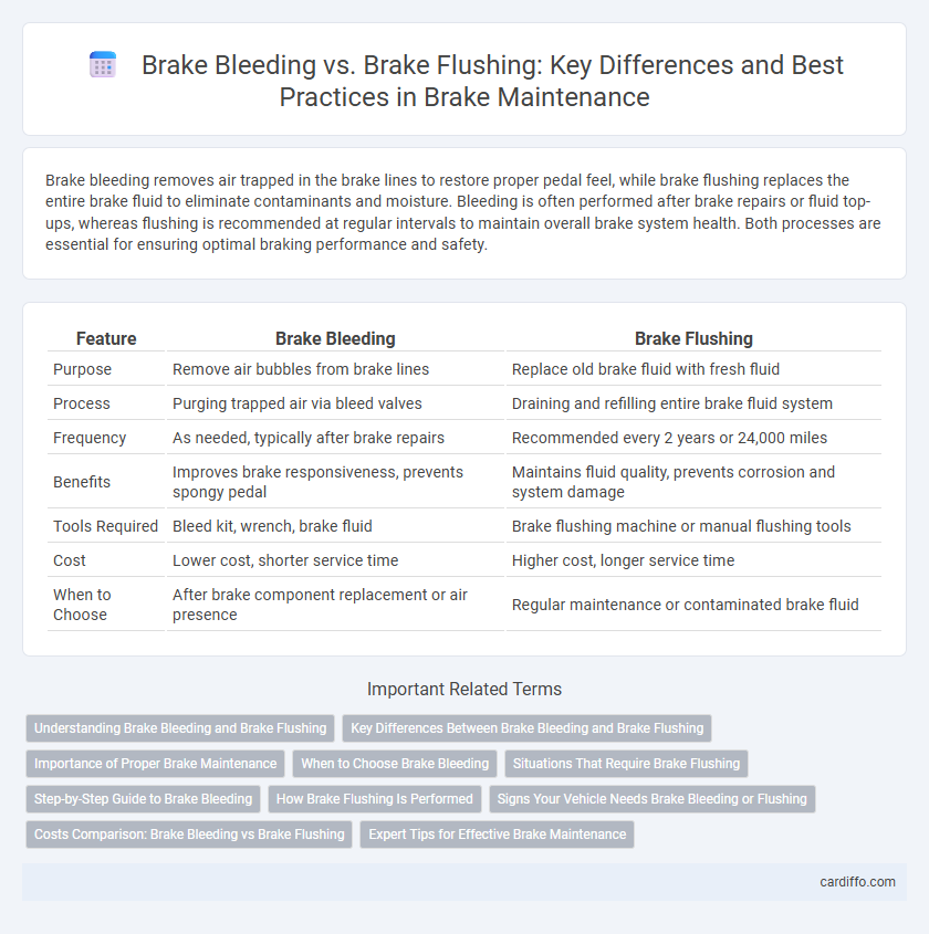Brake Bleeding vs. Brake Flushing: Key Differences and Best Practices in Brake Maintenance