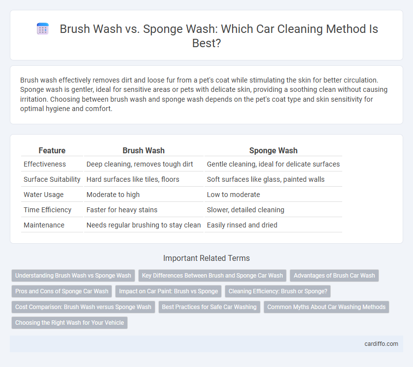 Brush Wash vs. Sponge Wash: Which Car Cleaning Method Is Best?