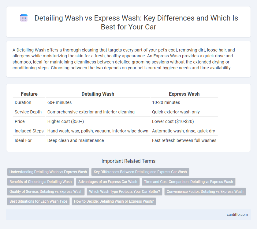 Detailing Wash vs Express Wash: Key Differences and Which Is Best for Your Car