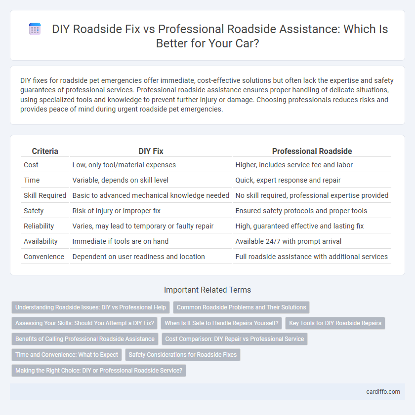 DIY Roadside Fix vs Professional Roadside Assistance: Which Is Better for Your Car?