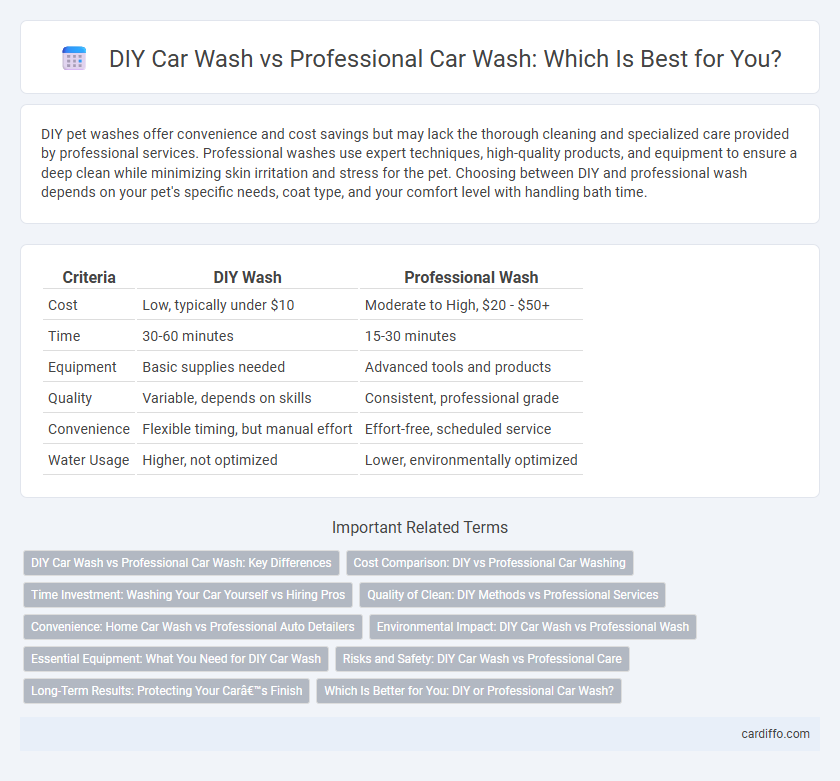 DIY Car Wash vs Professional Car Wash: Which Is Best for You?