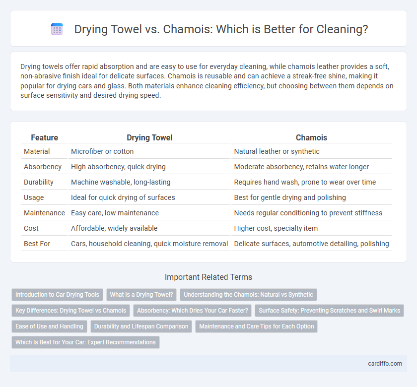 Drying Towel vs. Chamois: Which is Better for Cleaning?