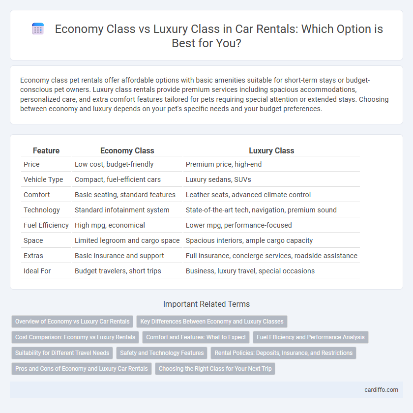 Economy Class vs Luxury Class in Car Rentals: Which Option is Best for You?