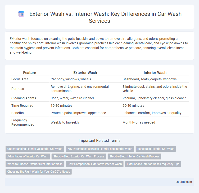 Exterior Wash vs. Interior Wash: Key Differences in Car Wash Services
