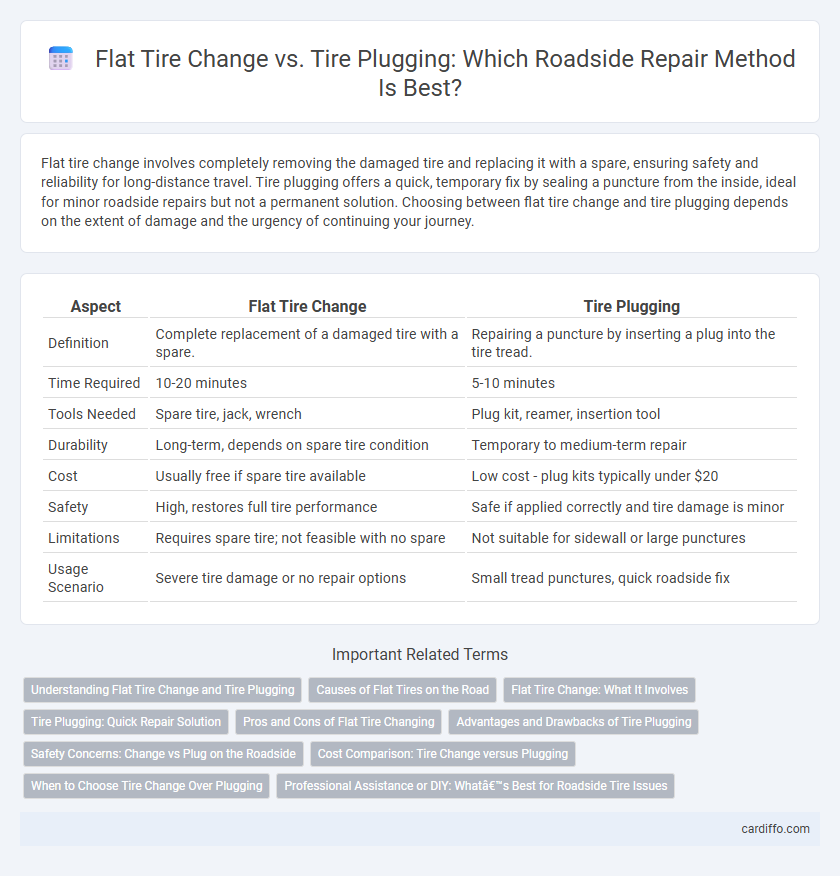 Flat Tire Change vs. Tire Plugging: Which Roadside Repair Method Is Best?