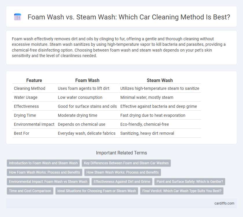 Foam Wash vs. Steam Wash: Which Car Cleaning Method Is Best?