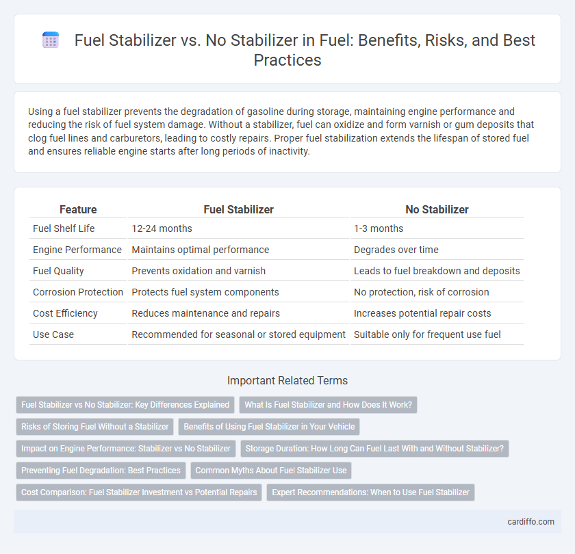 Fuel Stabilizer vs. No Stabilizer in Fuel: Benefits, Risks, and Best Practices