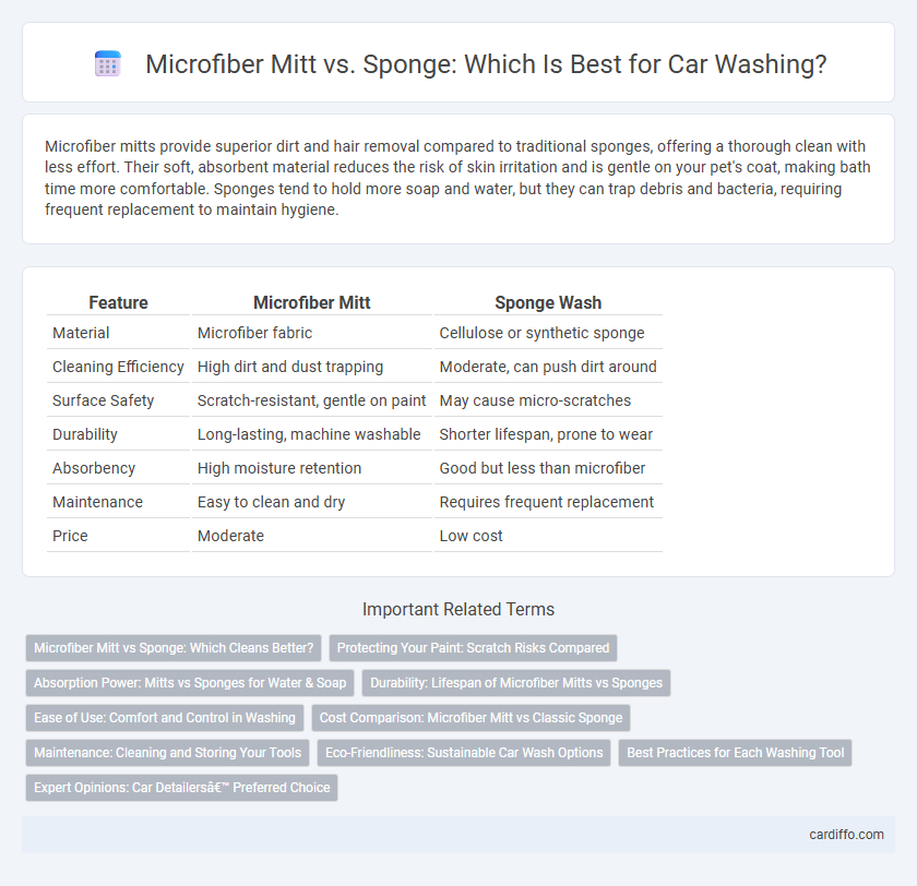 Microfiber Mitt vs. Sponge: Which Is Best for Car Washing?