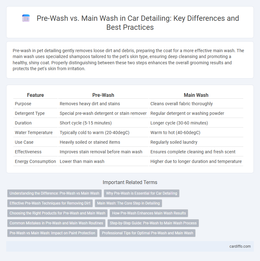 Pre-Wash vs. Main Wash in Car Detailing: Key Differences and Best Practices