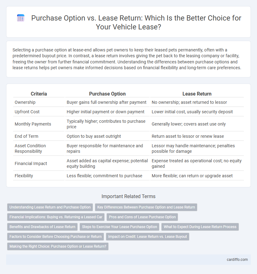 Purchase Option vs. Lease Return: Which Is the Better Choice for Your Vehicle Lease?