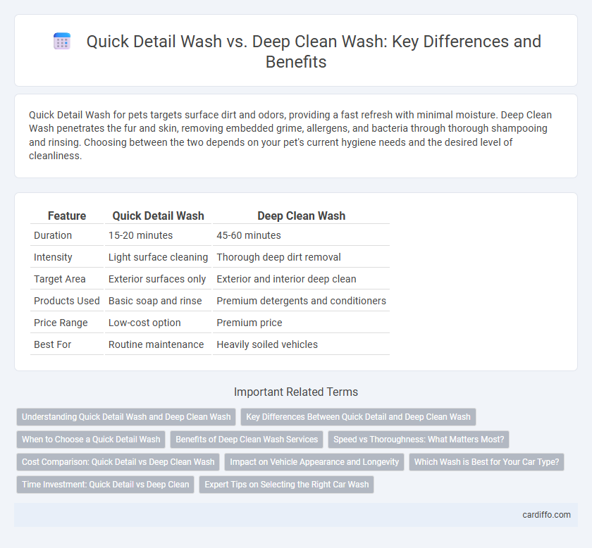Quick Detail Wash vs. Deep Clean Wash: Key Differences and Benefits