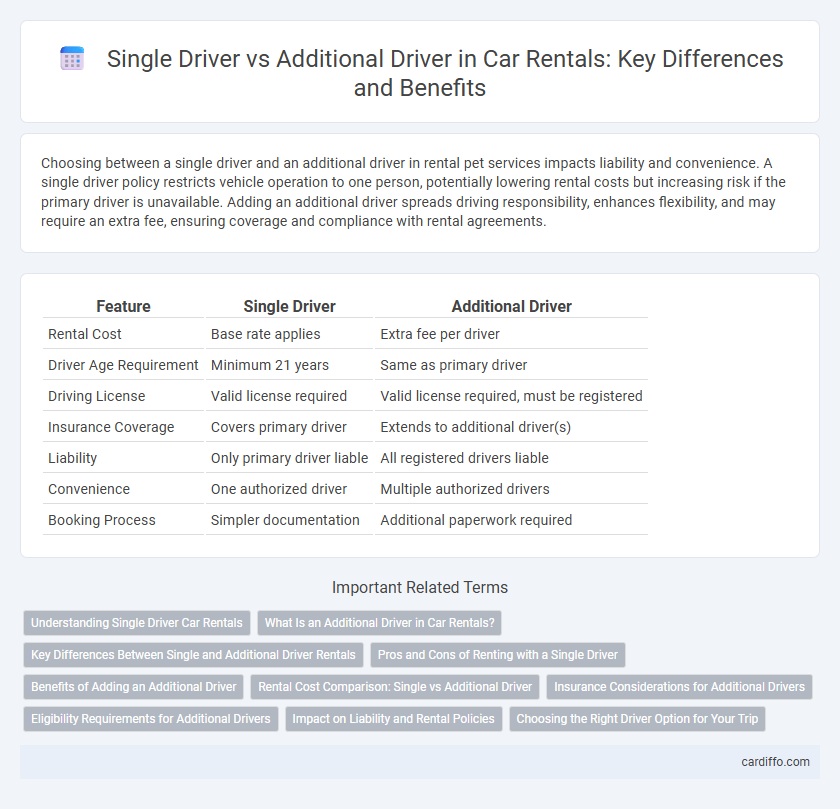 Single Driver vs Additional Driver in Car Rentals: Key Differences and Benefits