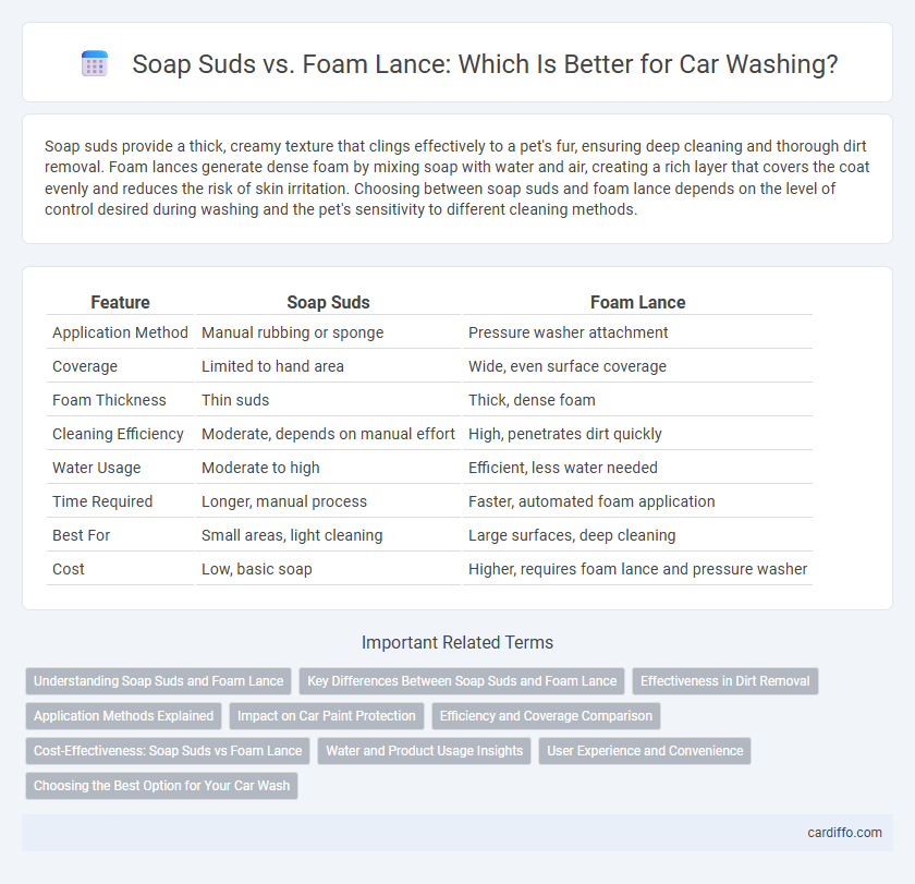 Soap Suds vs. Foam Lance: Which Is Better for Car Washing?