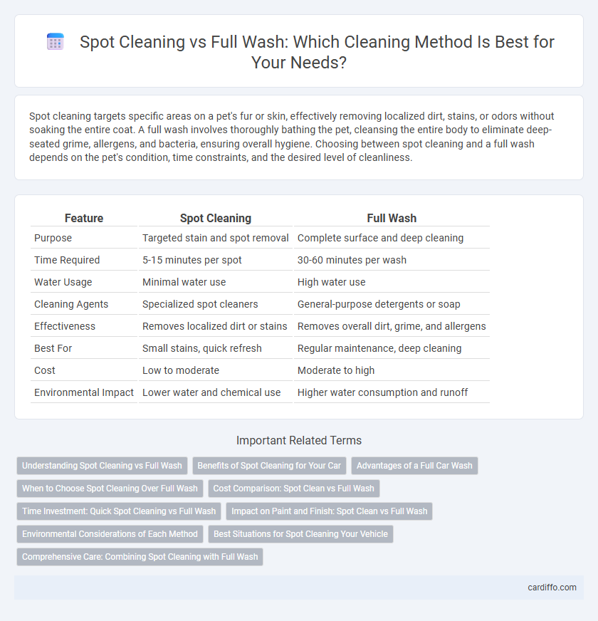 Spot Cleaning vs Full Wash: Which Cleaning Method Is Best for Your Needs?