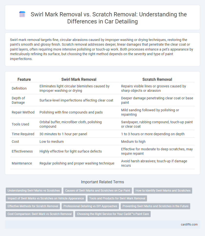 Swirl Mark Removal vs. Scratch Removal: Understanding the Differences in Car Detailing