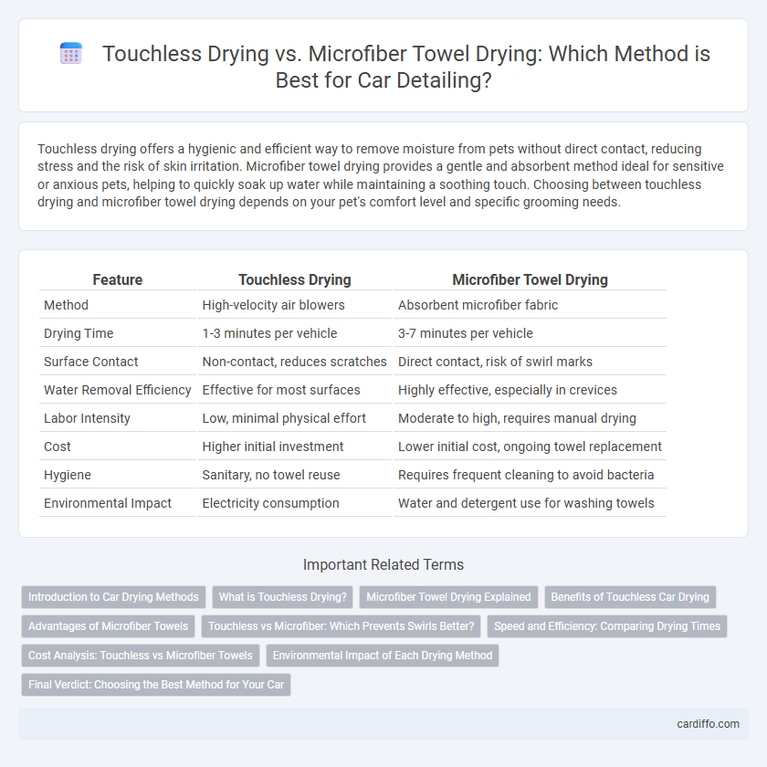 Touchless Drying vs. Microfiber Towel Drying: Which Method is Best for Car Detailing?