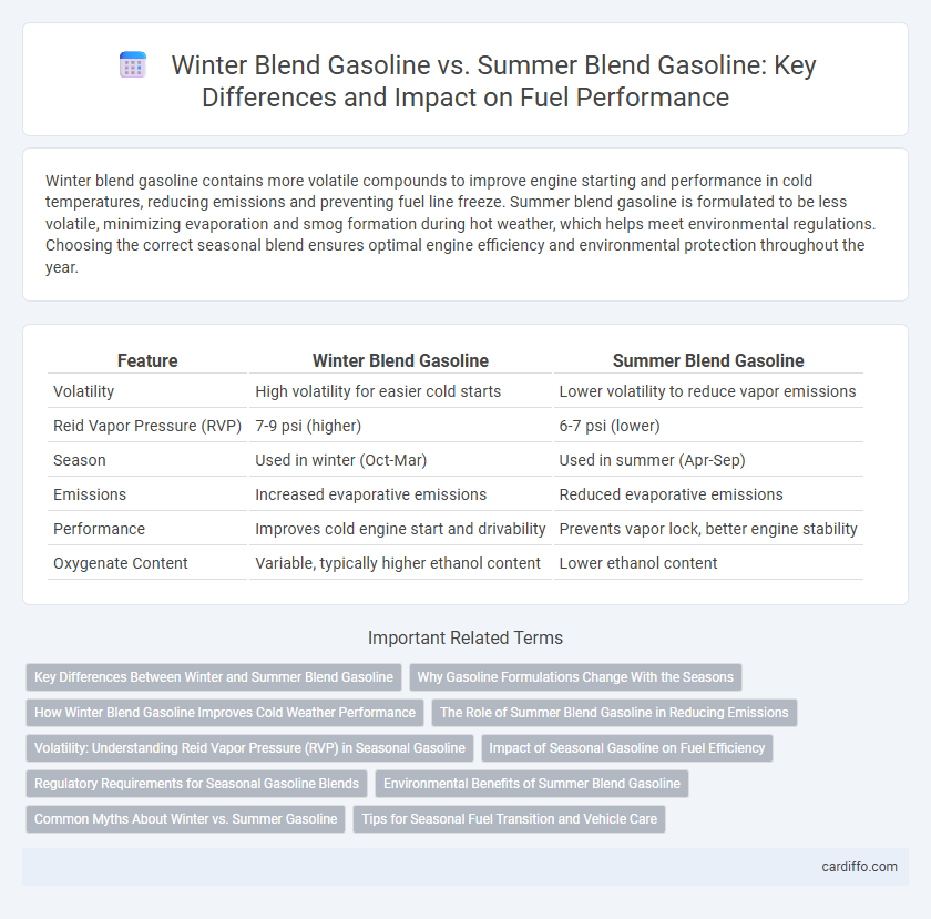 Winter Blend Gasoline vs. Summer Blend Gasoline: Key Differences and Impact on Fuel Performance